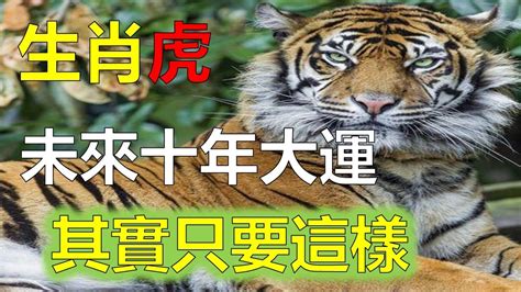 2023屬虎運勢1974|1974年属虎人2023年全年运势详解 49岁生肖虎2023年。